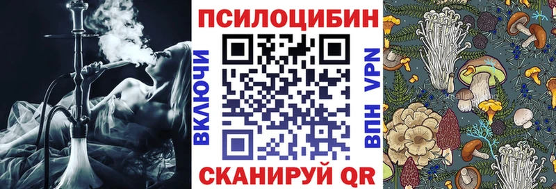 площадка Telegram  купить наркотик  Пенза  Псилоцибиновые грибы ЛСД 